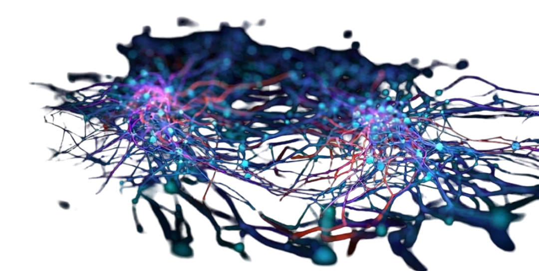 partners animation fallback